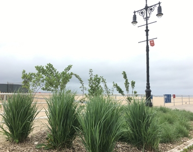 Brighton Beach near Beachfront - Photo Thumbnail 12