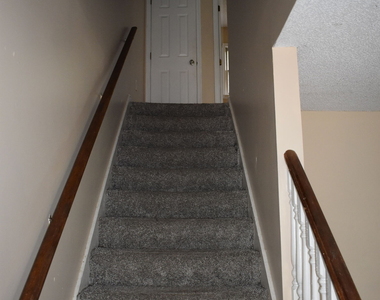 4397 Azalea Drive - Photo Thumbnail 10