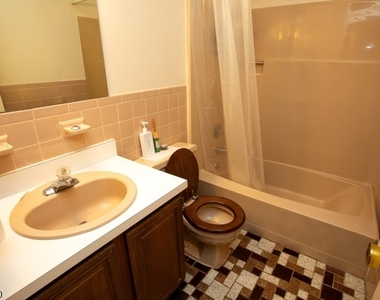 112 Bluebird Dr - Photo Thumbnail 20
