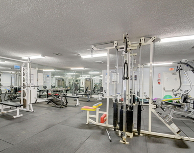 210 Lake Evelyn Drive - Photo Thumbnail 50