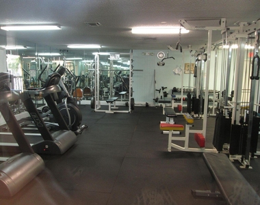210 Lake Evelyn Drive - Photo Thumbnail 34