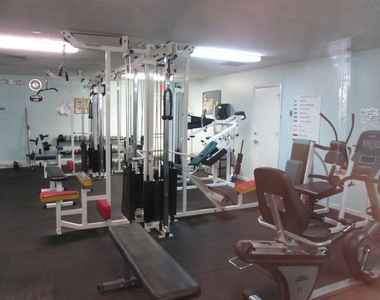 210 Lake Evelyn Drive - Photo Thumbnail 35