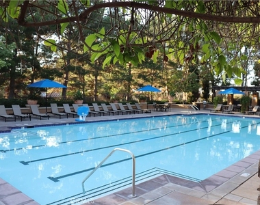 213 Lonetree - Photo Thumbnail 23