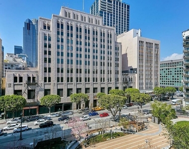 460 S Spring Street - Photo Thumbnail 11