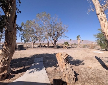 1359 Elmwood Avenue - Photo Thumbnail 17