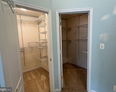 25147 Cutgrass Terrace - Photo Thumbnail 20