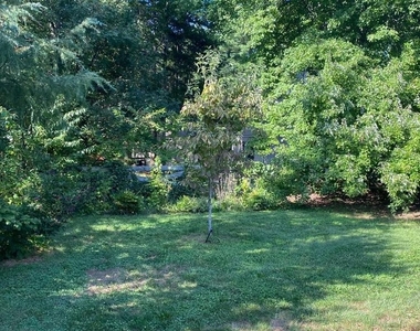12519 Arnsley Court - Photo Thumbnail 13