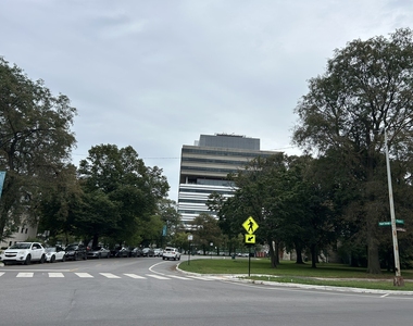 5900 S King Drive - Photo Thumbnail 16