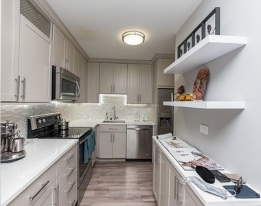 211 E Ohio Street - Photo Thumbnail 4