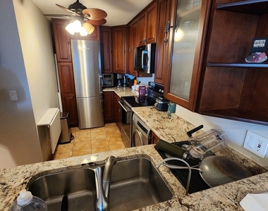 195 N Harbor Drive - Photo Thumbnail 4