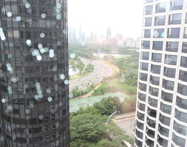 195 N Harbor Drive - Photo Thumbnail 19