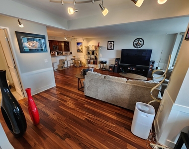195 N Harbor Drive - Photo Thumbnail 3