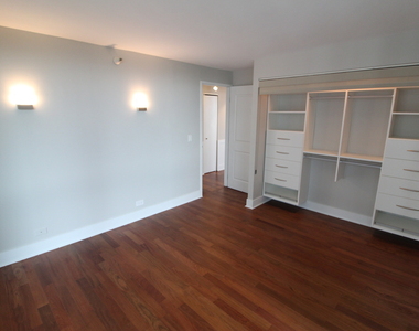 195 N Harbor Drive - Photo Thumbnail 18