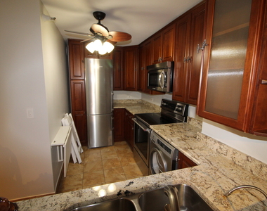 195 N Harbor Drive - Photo Thumbnail 11