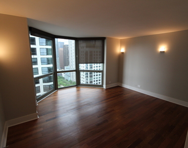 195 N Harbor Drive - Photo Thumbnail 25