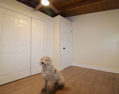 956 Deerfield Road - Photo Thumbnail 30