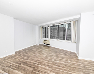 211 E Ohio Street - Photo Thumbnail 9