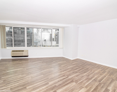 211 E Ohio Street - Photo Thumbnail 10