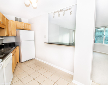 211 E Ohio Street - Photo Thumbnail 8