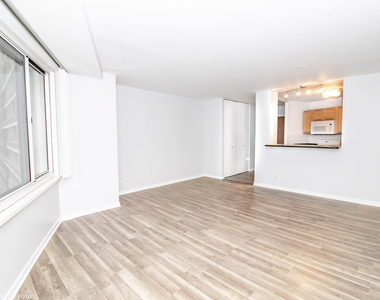 211 E Ohio Street - Photo Thumbnail 5