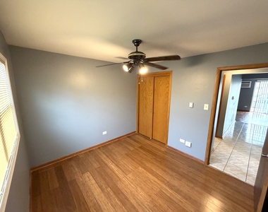 11946 S Ridgeway Avenue - Photo Thumbnail 10