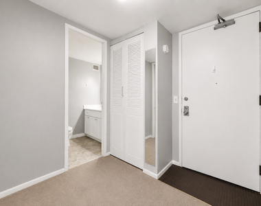 233 E Erie Street - Photo Thumbnail 12
