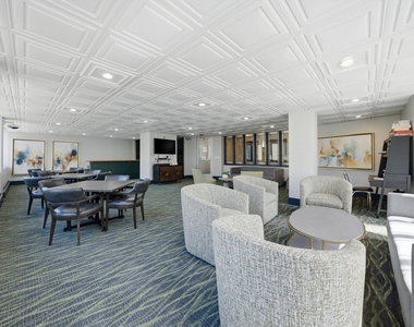 233 E Erie Street - Photo Thumbnail 16