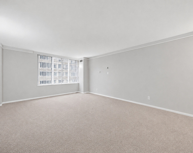 233 E Erie Street - Photo Thumbnail 4