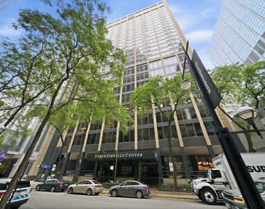 233 E Erie Street - Photo Thumbnail 1