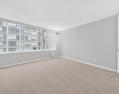 233 E Erie Street - Photo Thumbnail 9