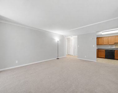 233 E Erie Street - Photo Thumbnail 5