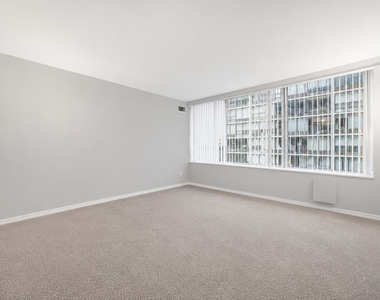 233 E Erie Street - Photo Thumbnail 11