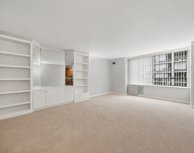 233 E Erie Street - Photo Thumbnail 3