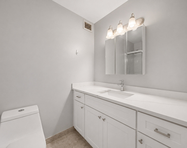 233 E Erie Street - Photo Thumbnail 13