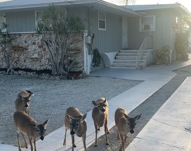 1540 Lantana Lane - Photo Thumbnail 20