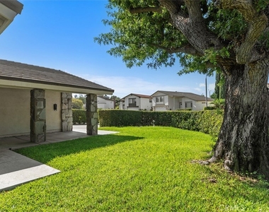 3491 Birch Street - Photo Thumbnail 3