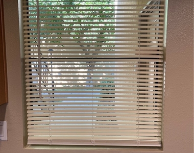1132 W Blaine Street - Photo Thumbnail 12