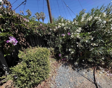1420 Primrose Way - Photo Thumbnail 16