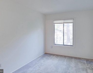 12303 Mulberry Court - Photo Thumbnail 47