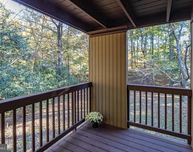 12303 Mulberry Court - Photo Thumbnail 19
