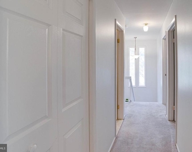 12303 Mulberry Court - Photo Thumbnail 37