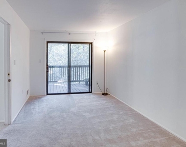 12303 Mulberry Court - Photo Thumbnail 48
