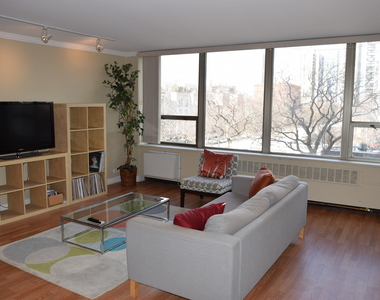 1360 N Sandburg Terrace - Photo Thumbnail 3