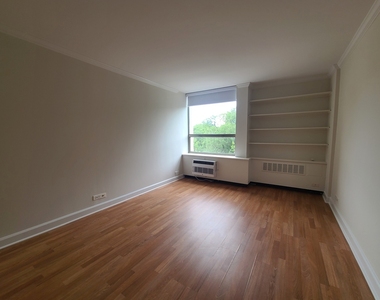 1360 N Sandburg Terrace - Photo Thumbnail 13