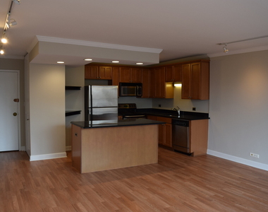 1360 N Sandburg Terrace - Photo Thumbnail 11