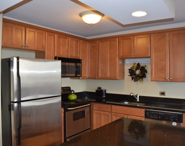 1360 N Sandburg Terrace - Photo Thumbnail 8