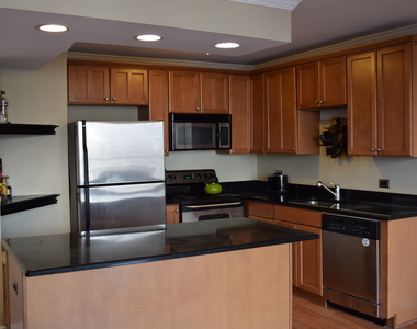 1360 N Sandburg Terrace - Photo Thumbnail 7