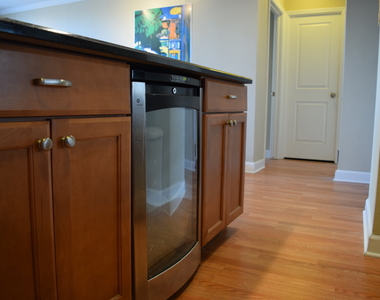 1360 N Sandburg Terrace - Photo Thumbnail 9