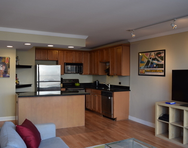 1360 N Sandburg Terrace - Photo Thumbnail 5