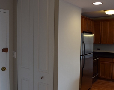 1360 N Sandburg Terrace - Photo Thumbnail 12